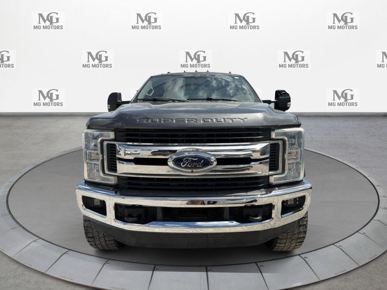 Ford Super Duty F-250 SRW XLT 4WD Crew Cab 8' Box 2019
