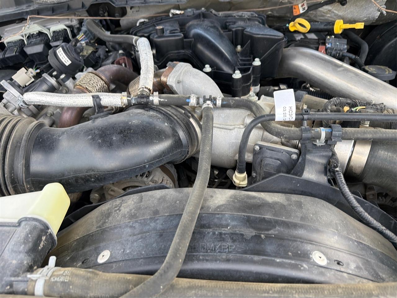 Ford Super Duty F-250 SRW XLT 4WD Crew Cab 8' Box 2019