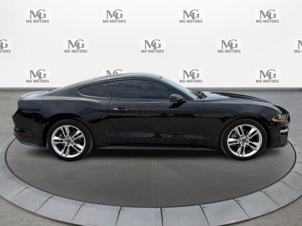 Ford Mustang EcoBoost Fastback 2020