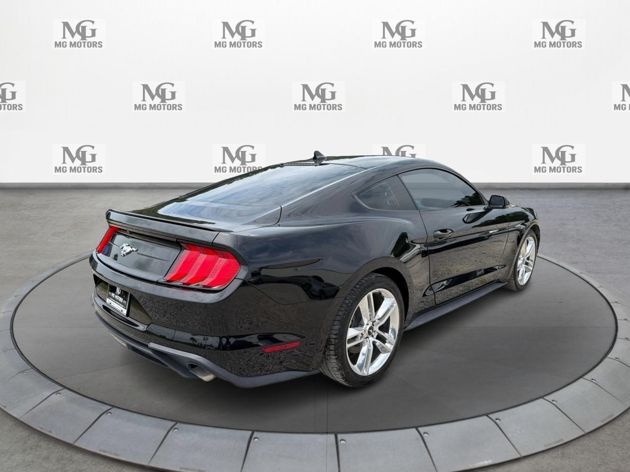 Ford Mustang EcoBoost Fastback 2020