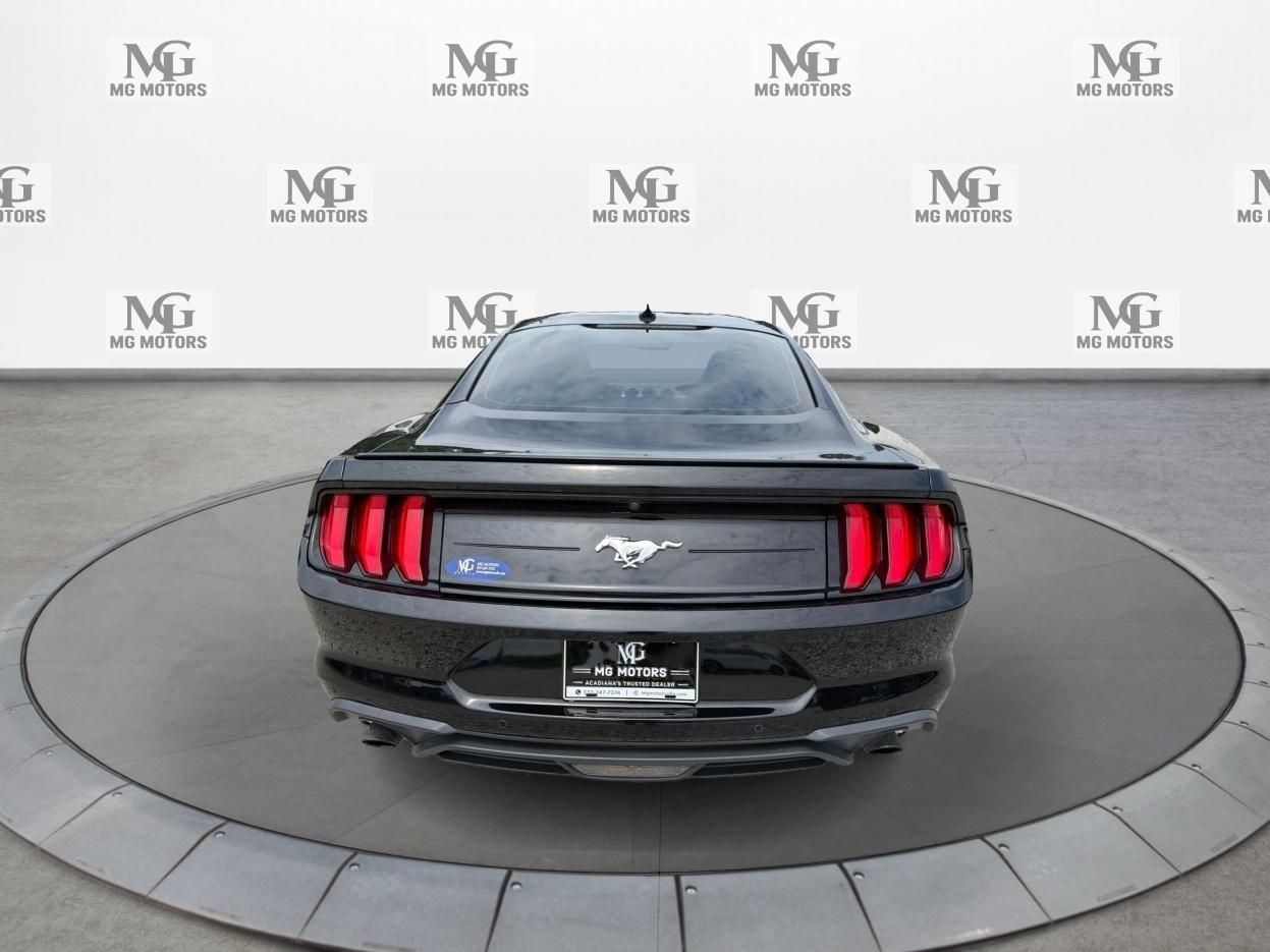Ford Mustang EcoBoost Fastback 2020