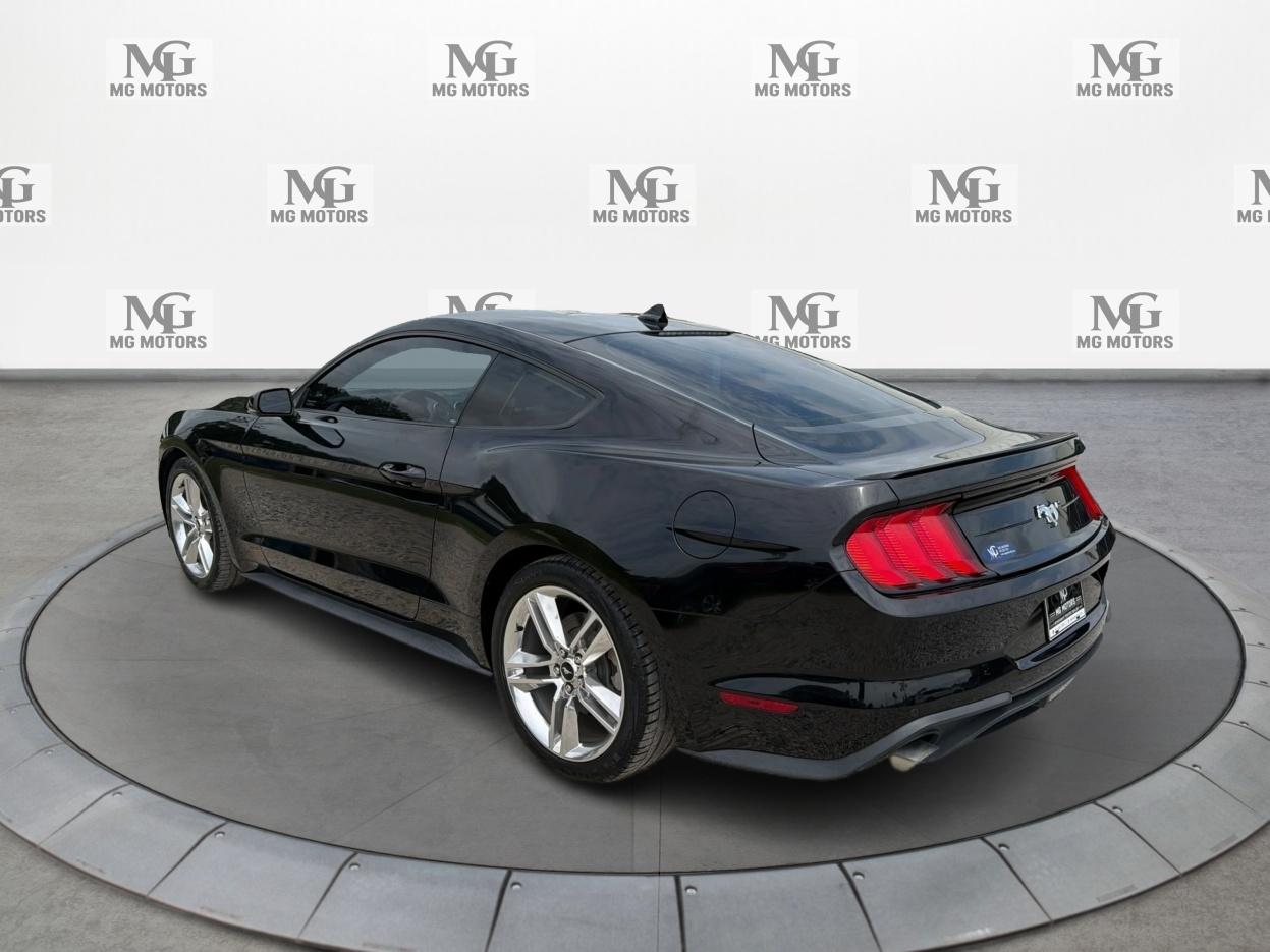 Ford Mustang EcoBoost Fastback 2020