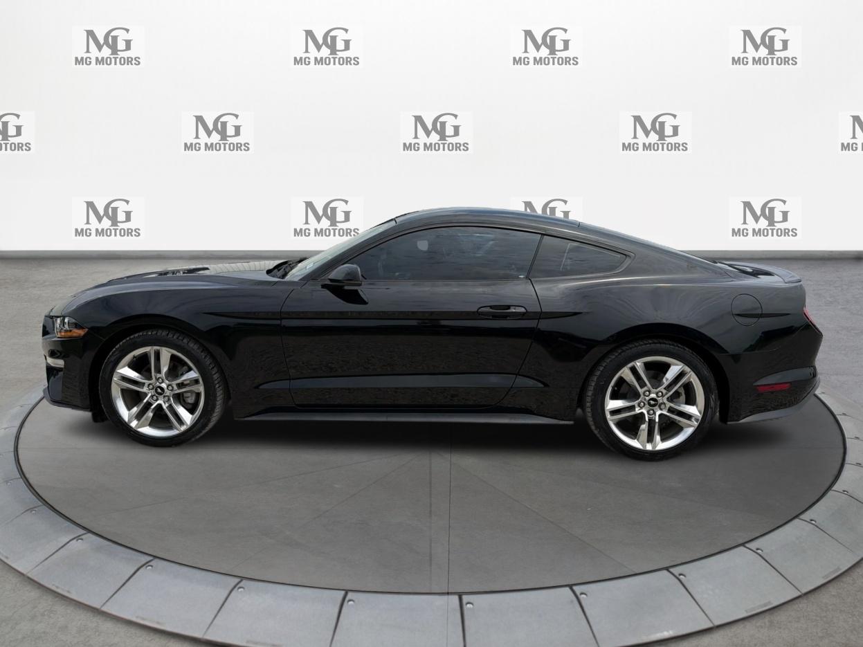 Ford Mustang EcoBoost Fastback 2020