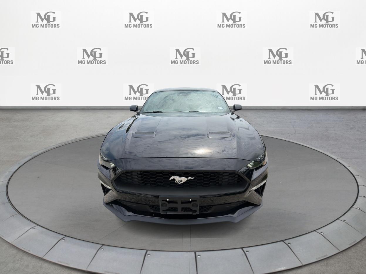Ford Mustang EcoBoost Fastback 2020