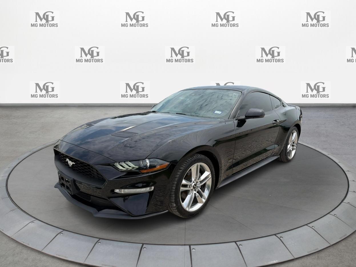 Ford Mustang EcoBoost Fastback 2020