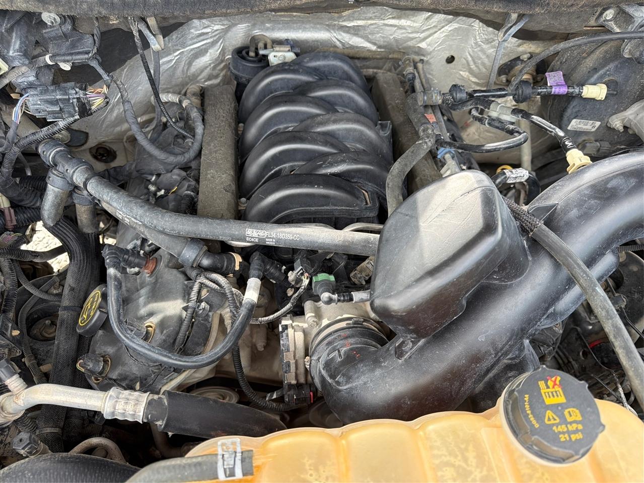 Ford F-150 XLT 4WD SuperCrew 5.5' Box 2017