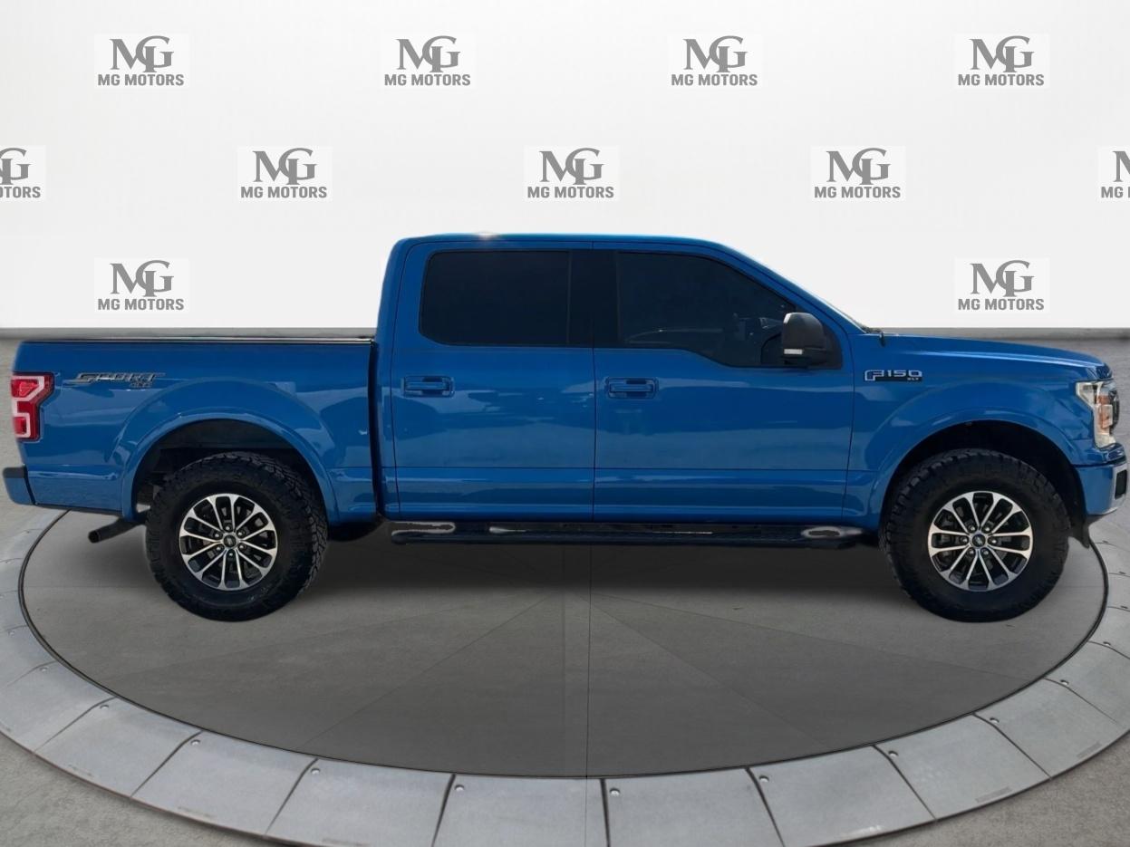 Ford F-150 XLT 4WD SuperCrew 5.5' Box 2019