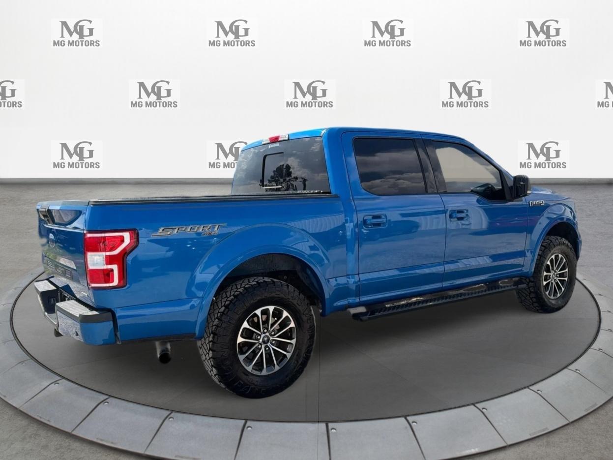 Ford F-150 XLT 4WD SuperCrew 5.5' Box 2019