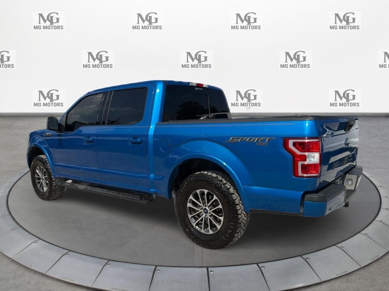 Ford F-150 XLT 4WD SuperCrew 5.5' Box 2019