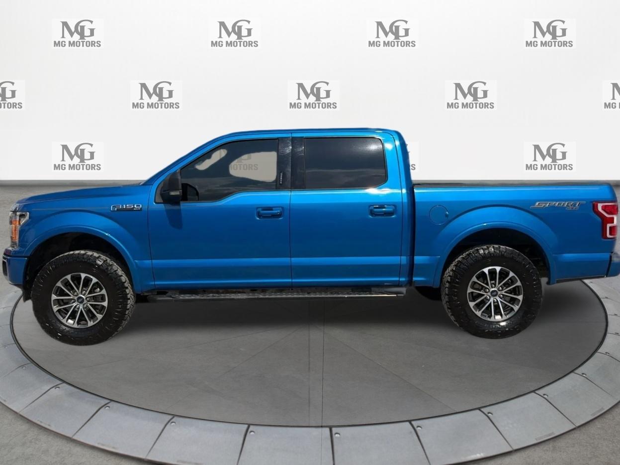 Ford F-150 XLT 4WD SuperCrew 5.5' Box 2019