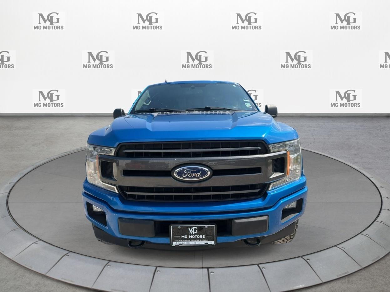 Ford F-150 XLT 4WD SuperCrew 5.5' Box 2019