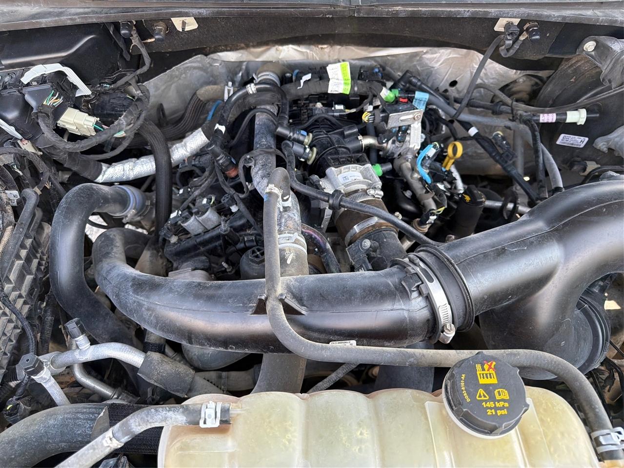 Ford F-150 XLT 4WD SuperCrew 5.5' Box 2019