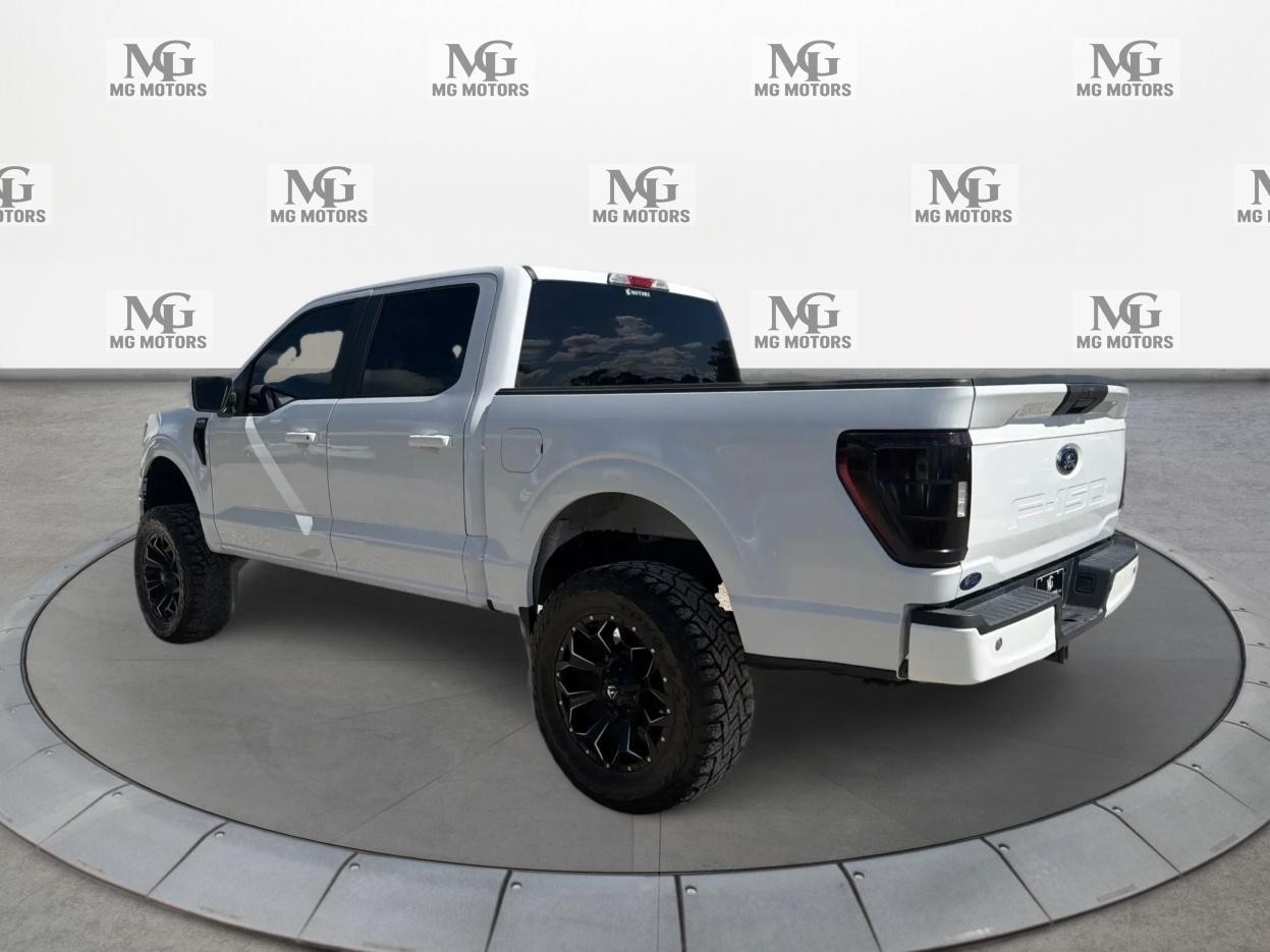 Ford F-150 XLT 2WD SuperCrew 5.5' Box 2021