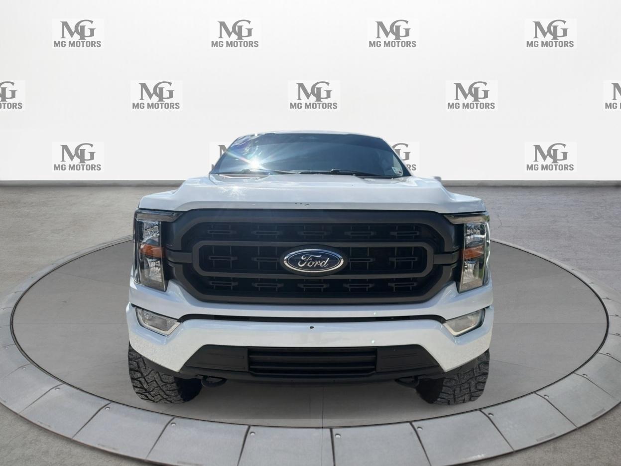 Ford F-150 XLT 2WD SuperCrew 5.5' Box 2021
