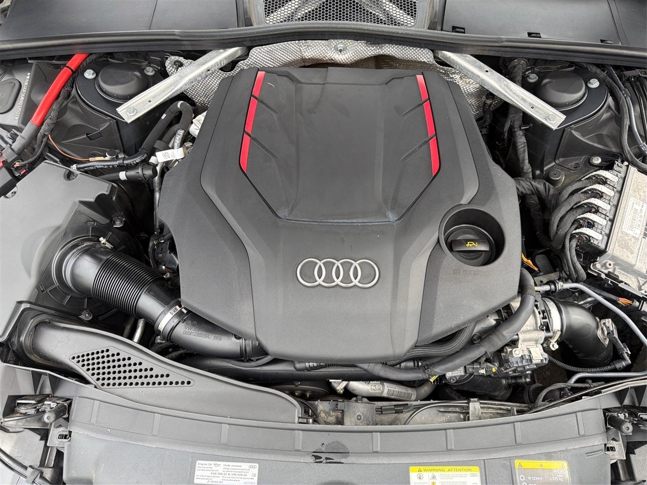 Audi S5 Sportback Premium Plus 3.0 TFSI quattro 2022
