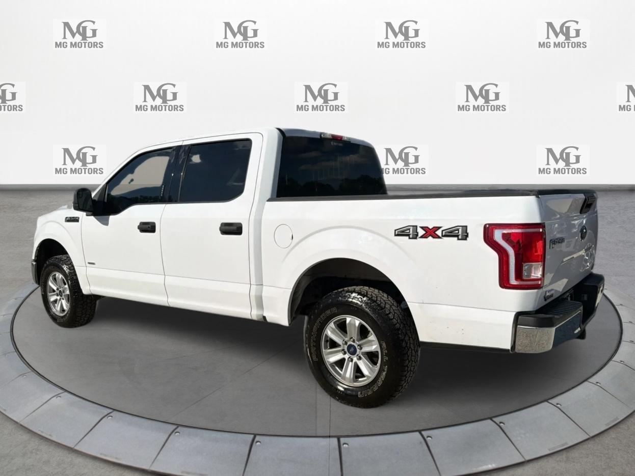 Ford F-150 4WD SuperCrew 145" XLT 2016