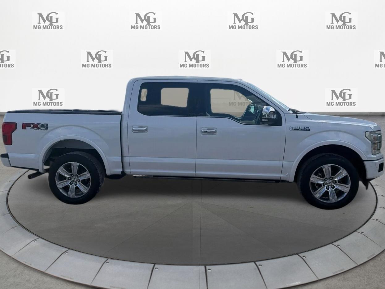 Ford F-150 photo 2