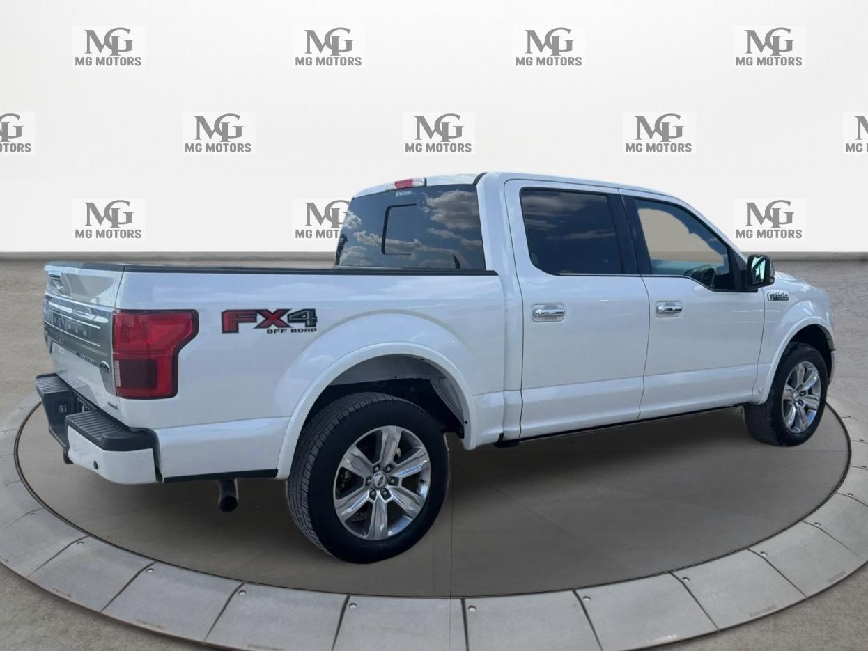 Ford F-150 photo 3