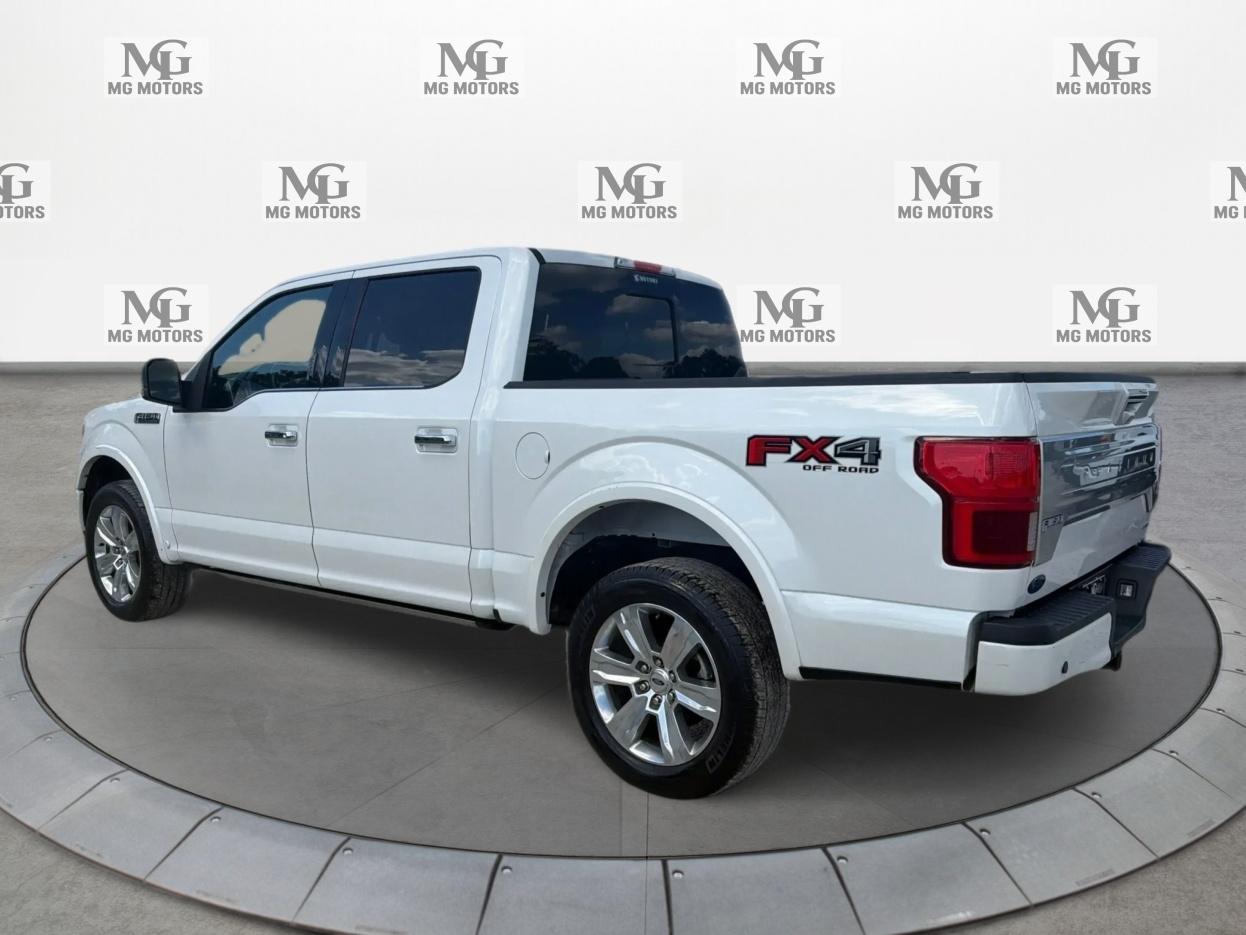 Ford F-150 photo 6