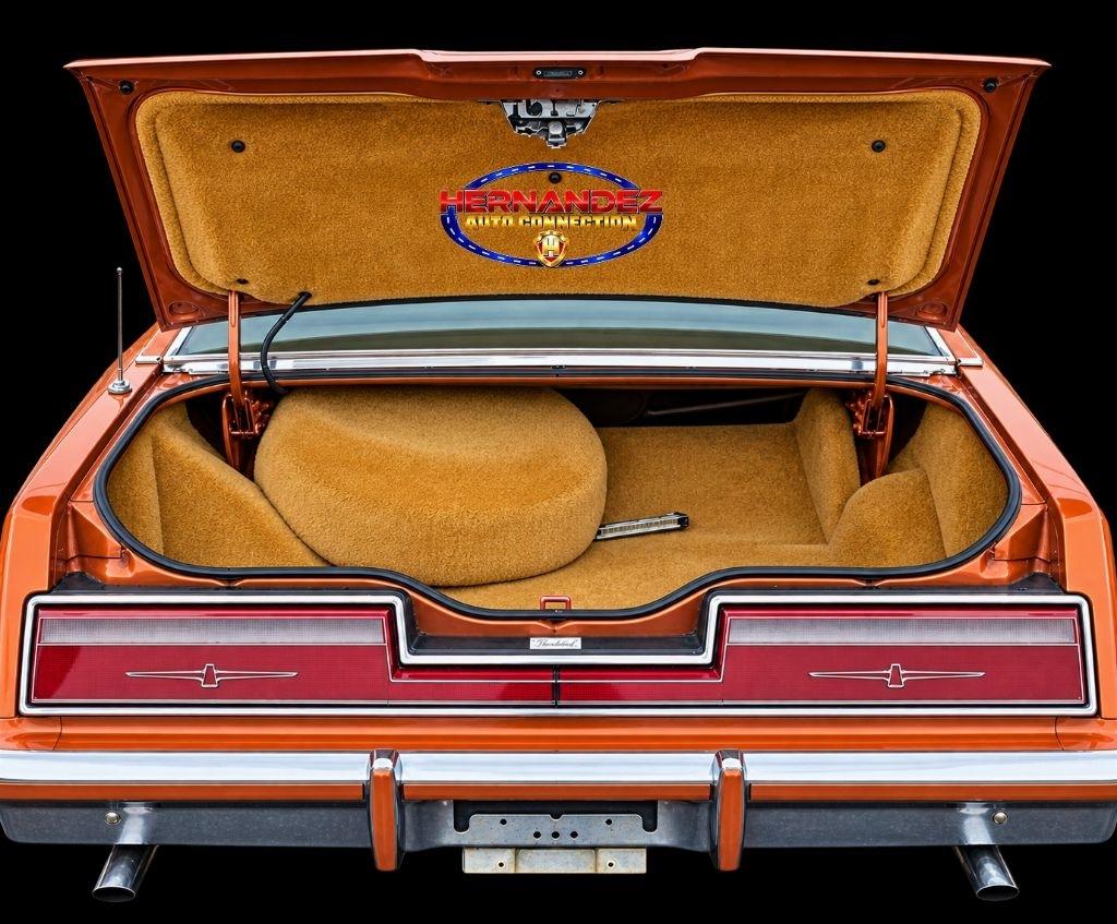 Ford Thunderbird  1978