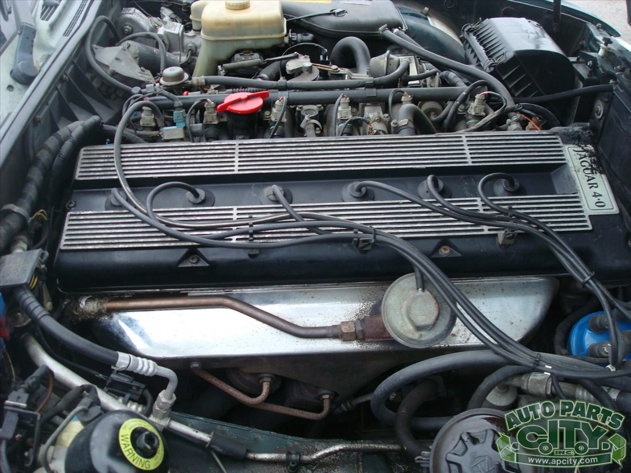 Jaguar XJ Sedan XJ6 1993