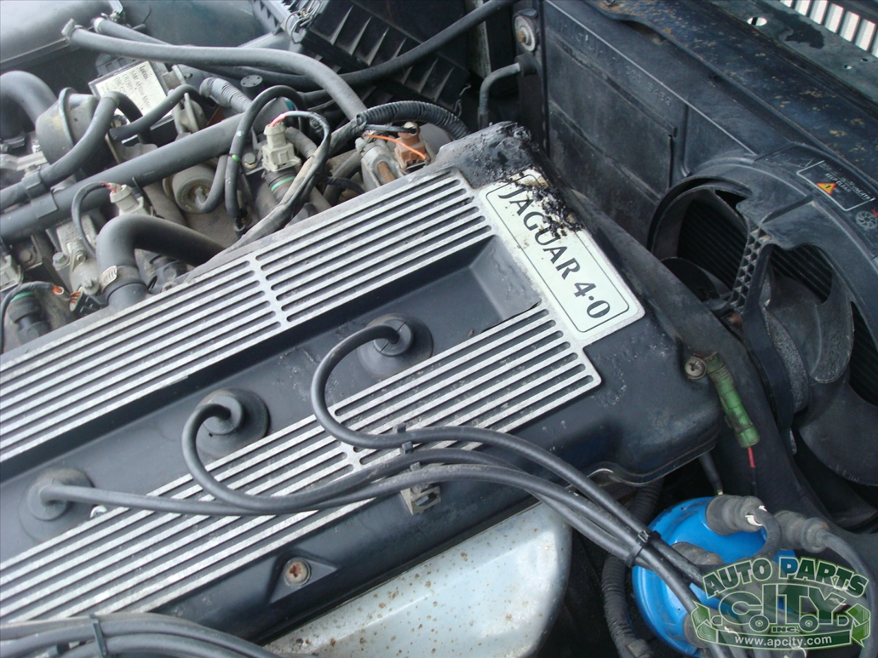 Jaguar XJ Sedan XJ6 1993