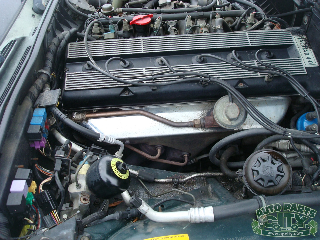 Jaguar XJ Sedan XJ6 1993