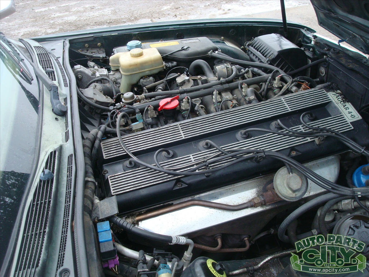 Jaguar XJ Sedan XJ6 1993