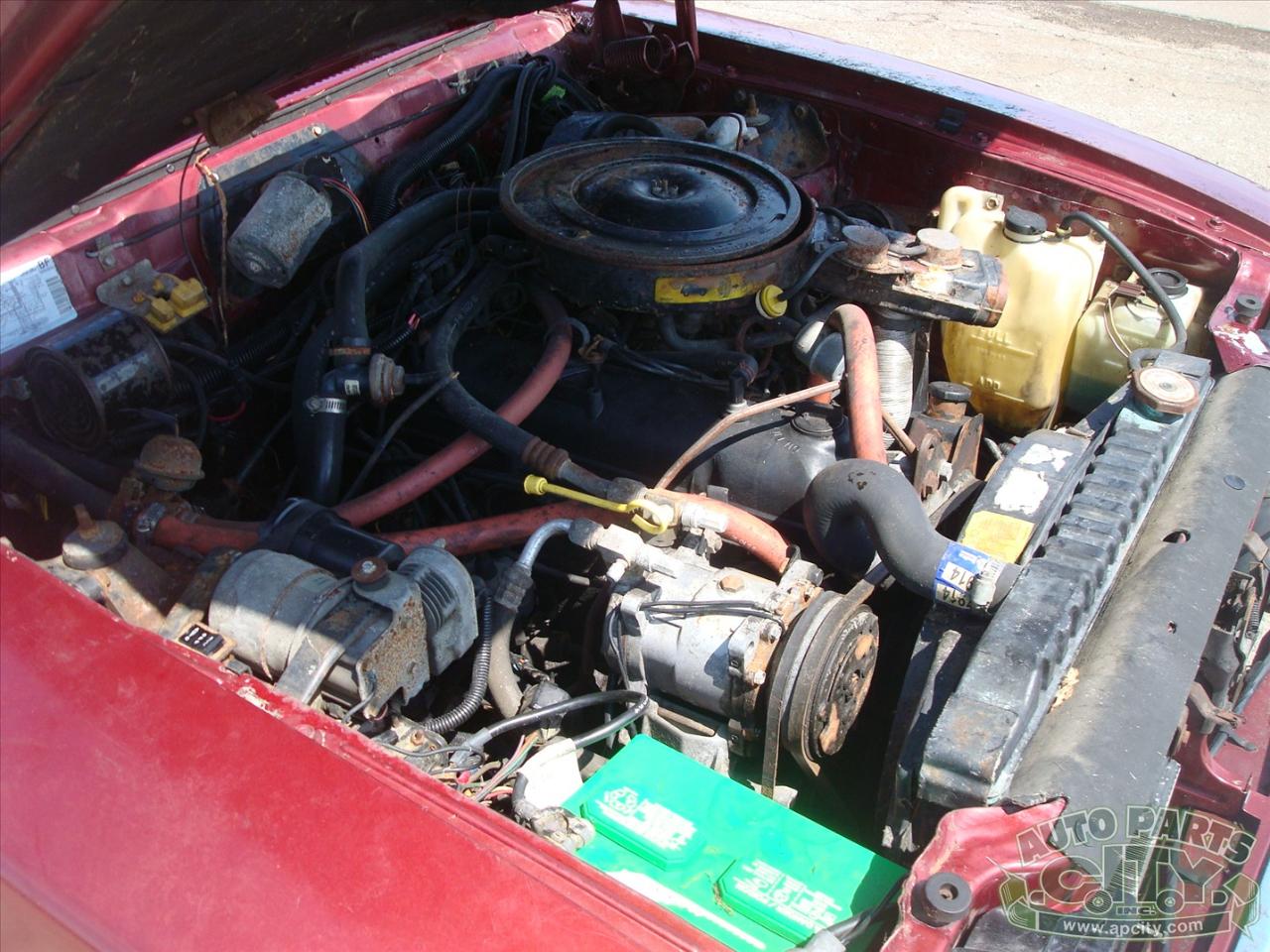 AMC Eagle Limited 1986