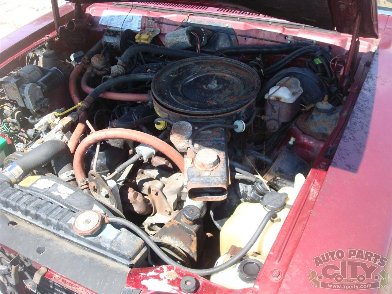 AMC Eagle Limited 1986