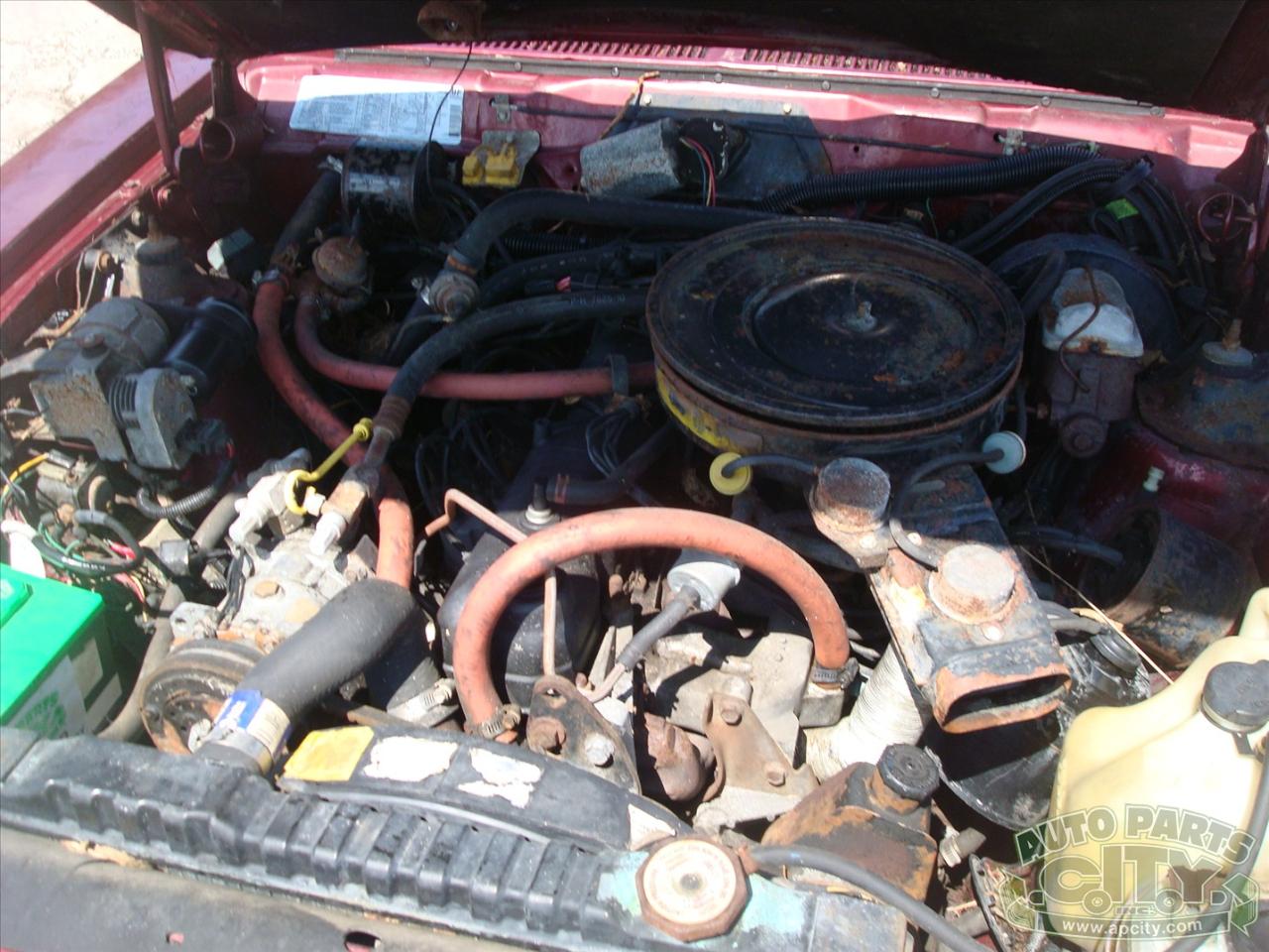 AMC Eagle Limited 1986