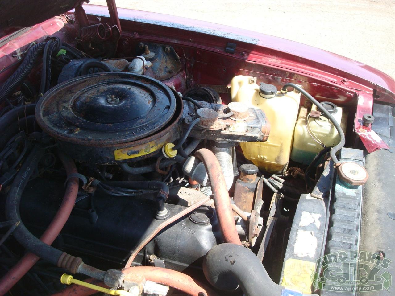 AMC Eagle Limited 1986