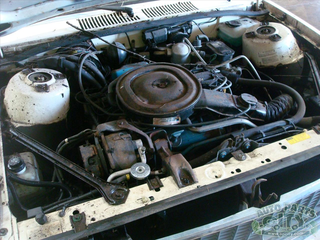 Chevrolet Citation  1980