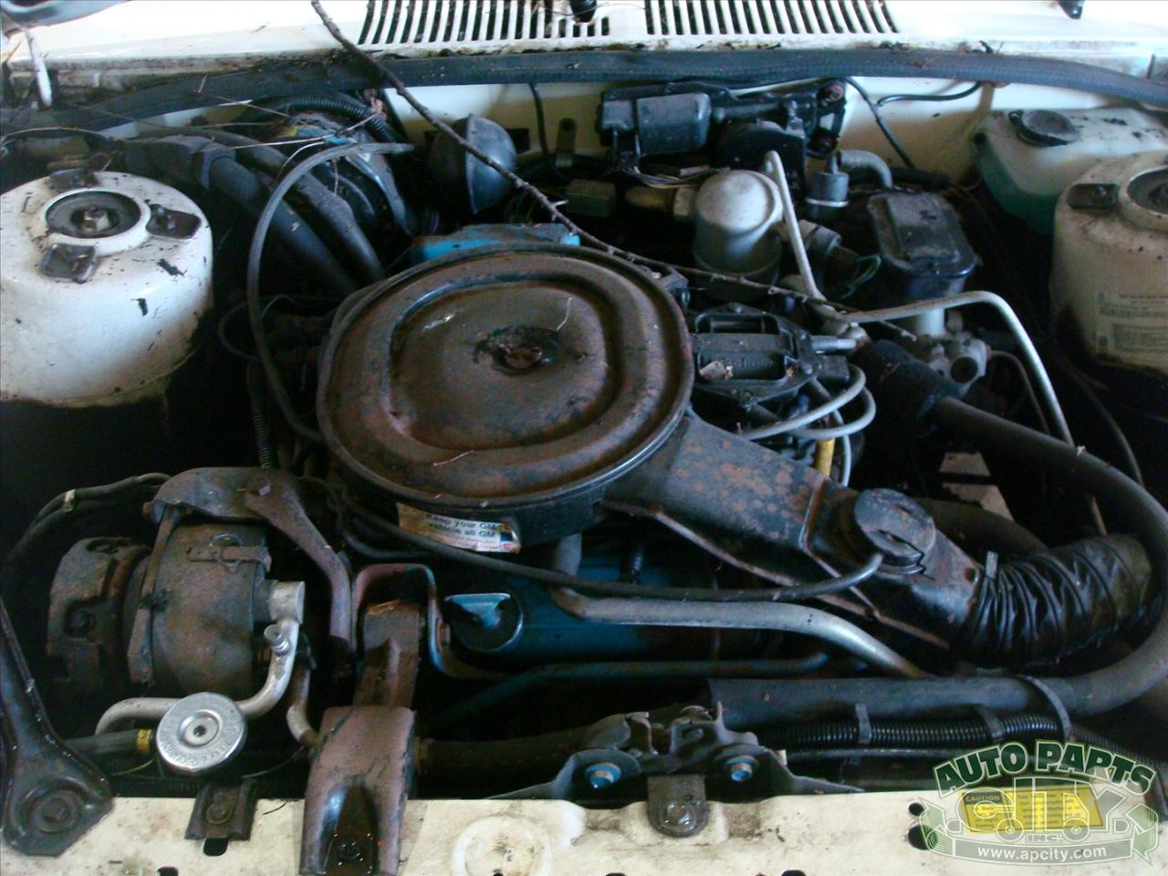 Chevrolet Citation  1980