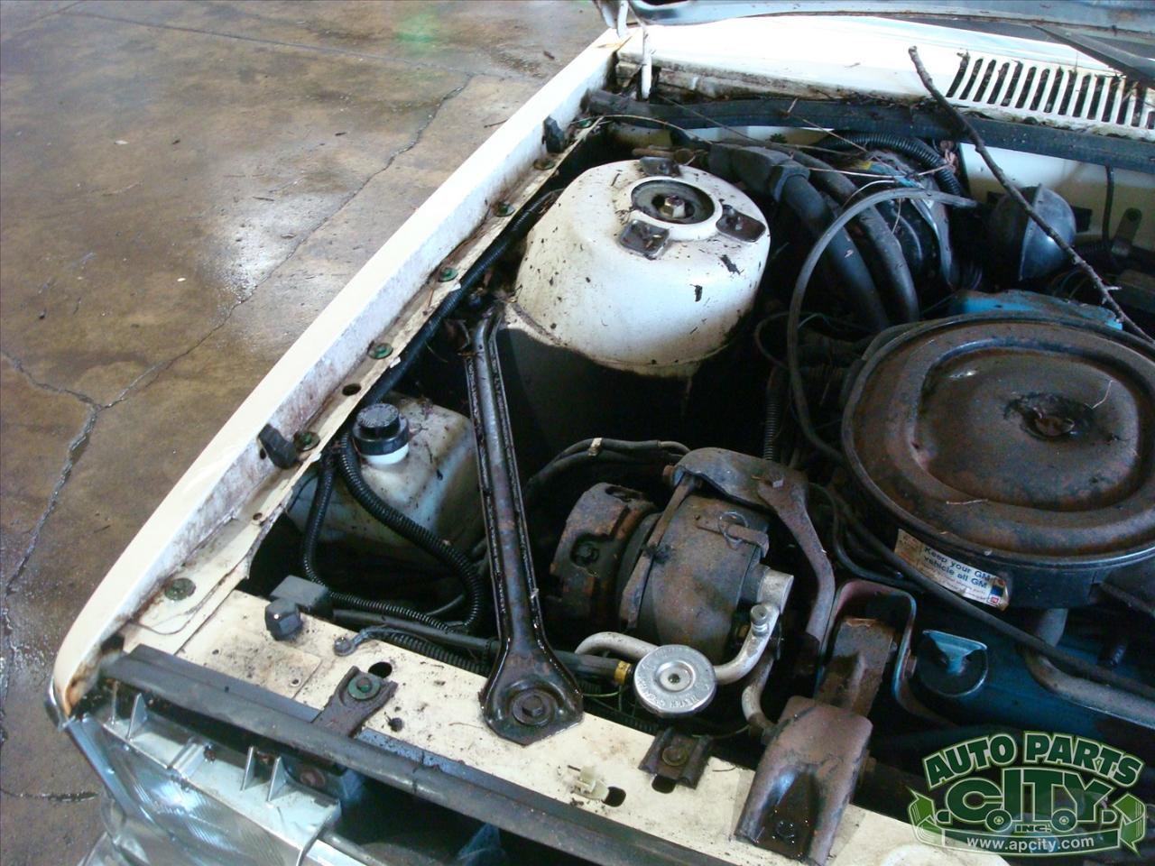 Chevrolet Citation  1980