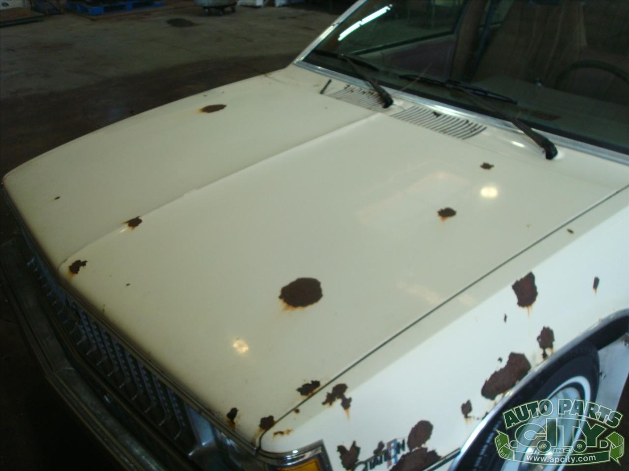 Chevrolet Citation  1980