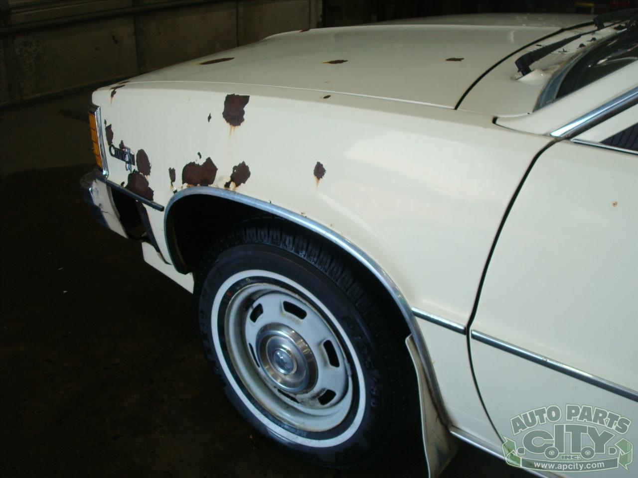 Chevrolet Citation  1980