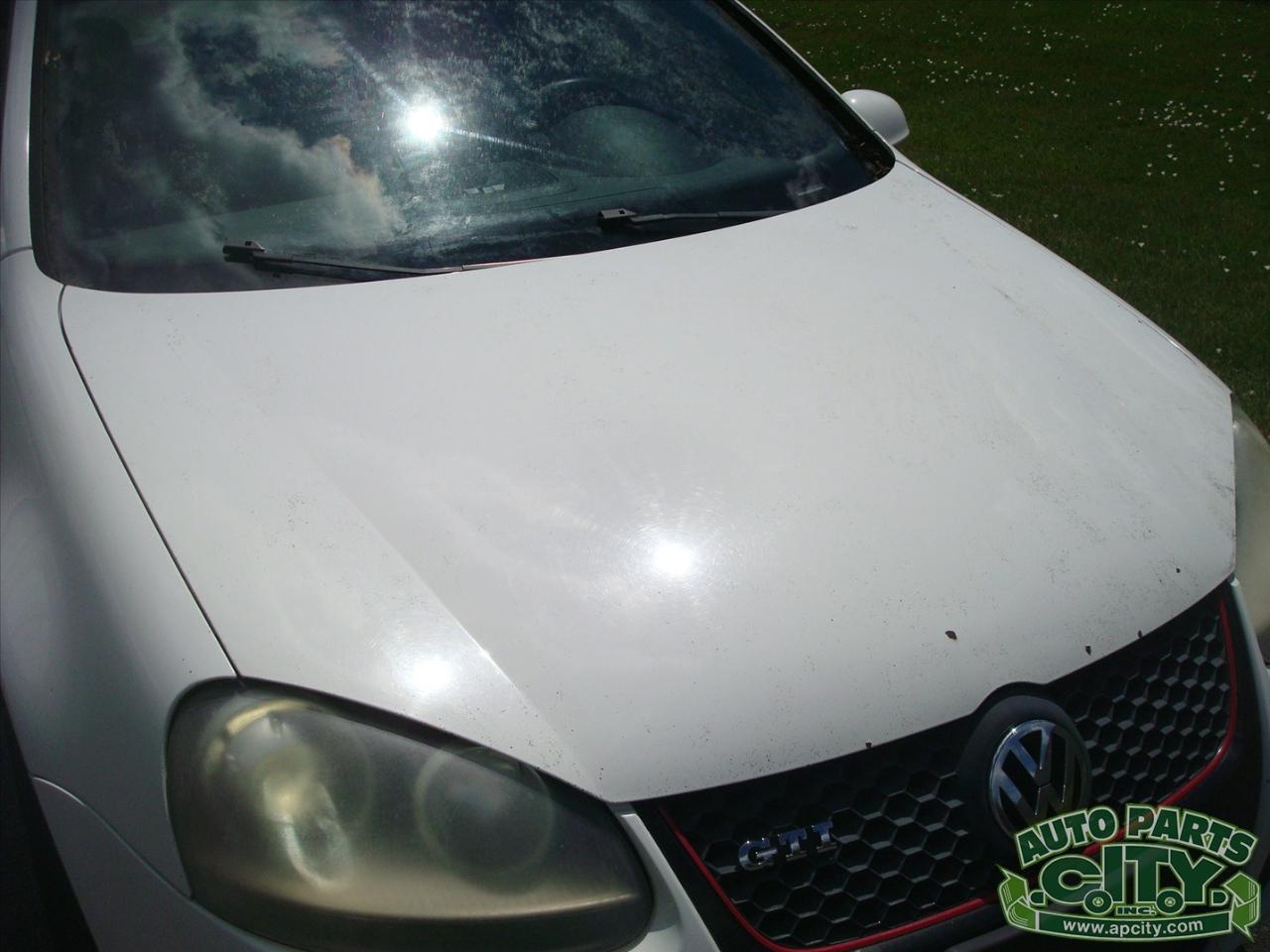 Volkswagen GTI 2.0T Coupe 2007