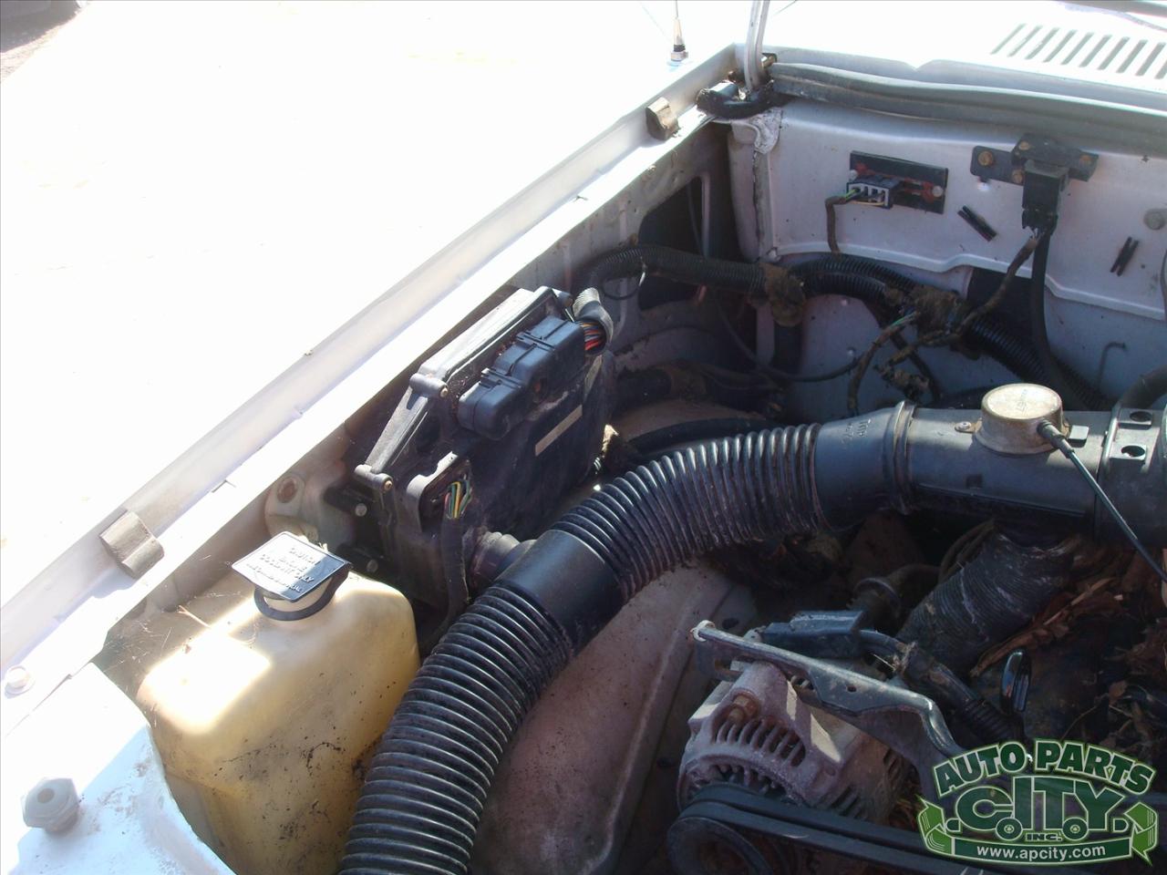 Dodge Dakota Reg. Cab 2WD 1988