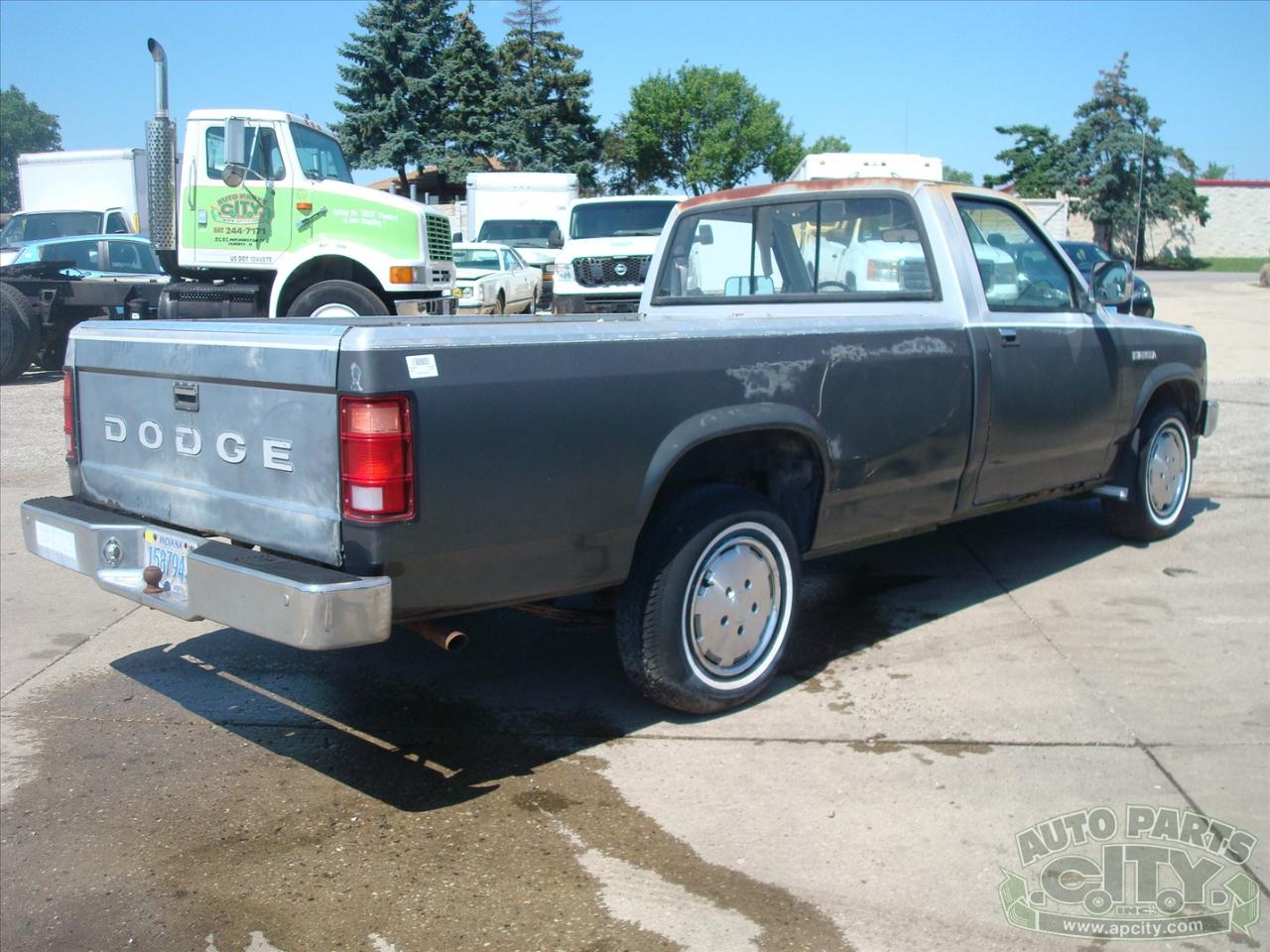 Dodge Dakota Reg. Cab 2WD 1988