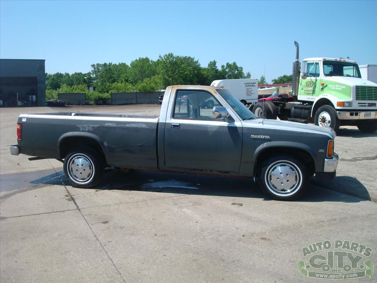 Dodge Dakota Reg. Cab 2WD 1988