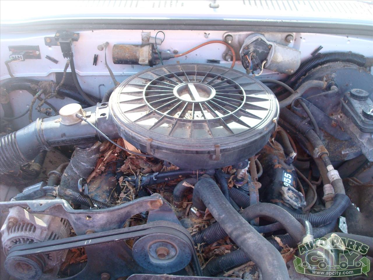 Dodge Dakota Reg. Cab 2WD 1988