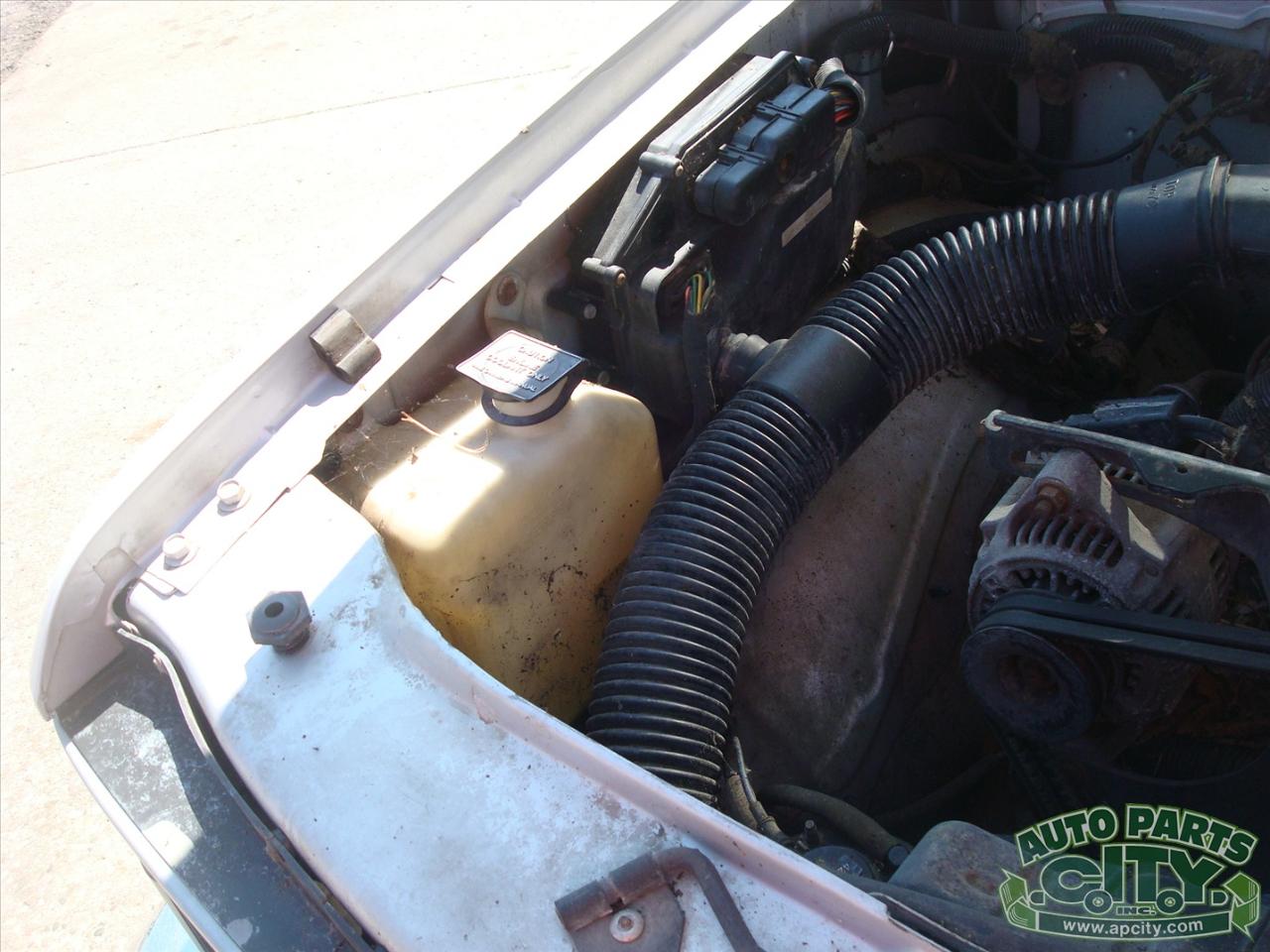 Dodge Dakota Reg. Cab 2WD 1988