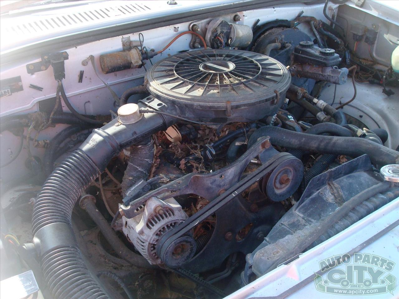 Dodge Dakota Reg. Cab 2WD 1988