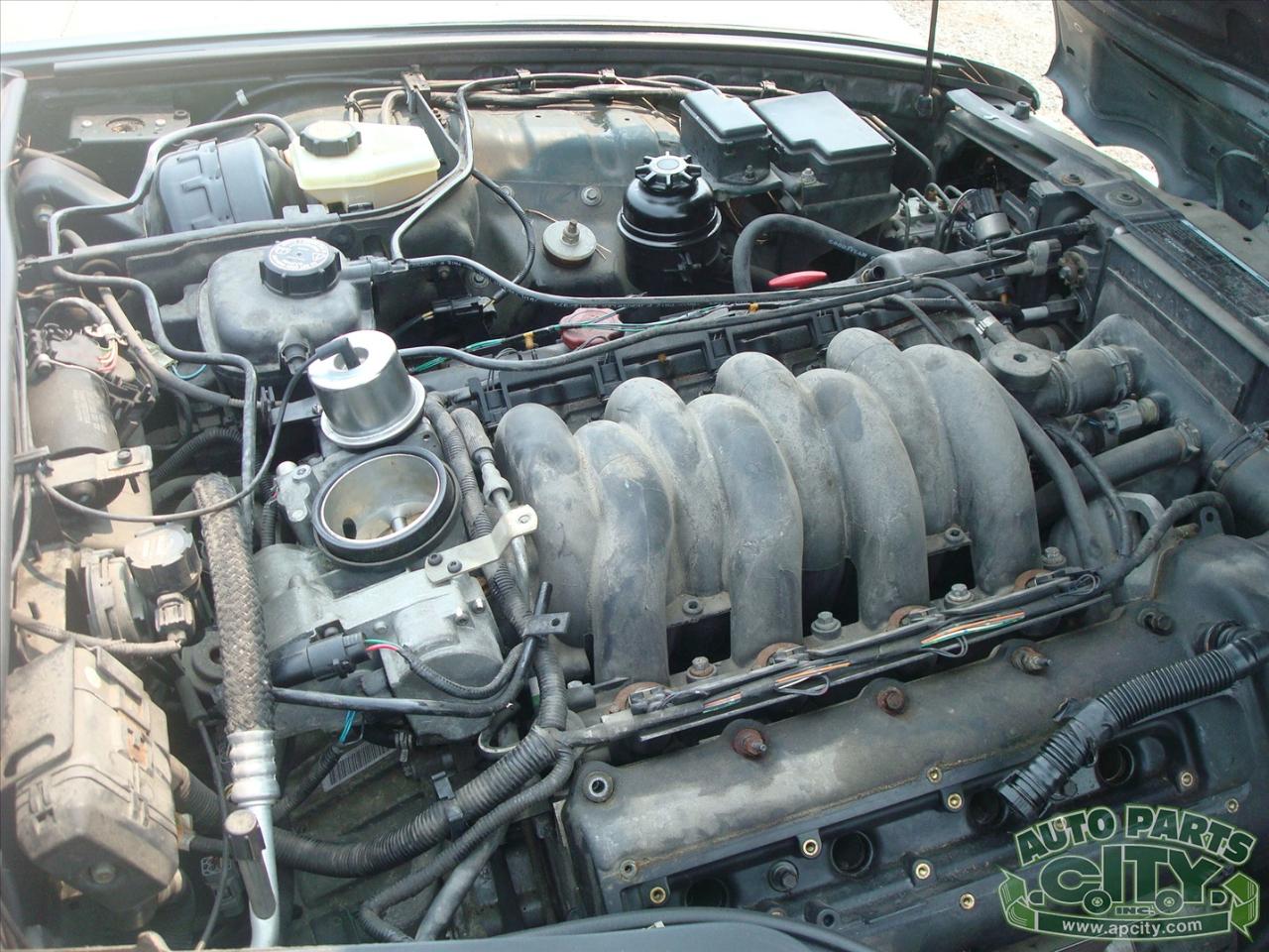 Jaguar XJ Sedan XJ8 1998