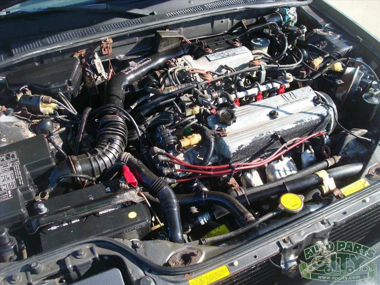 Honda Accord LXi 2-Door Hatchback 1987