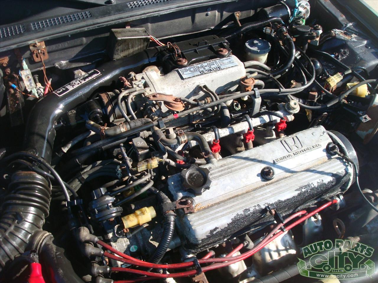 Honda Accord LXi 2-Door Hatchback 1987