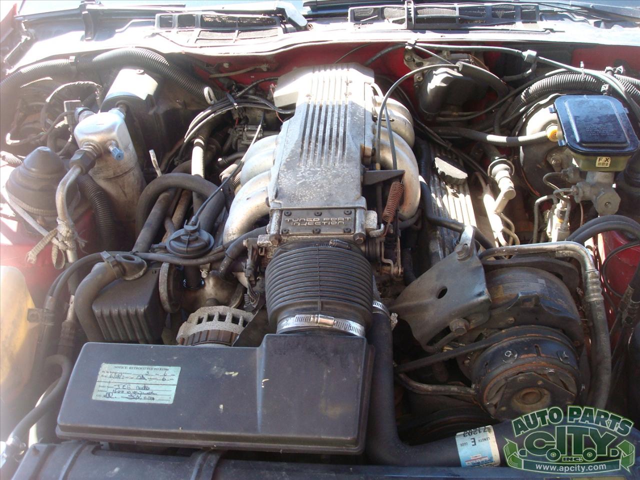 Pontiac Firebird Trans Am 1987