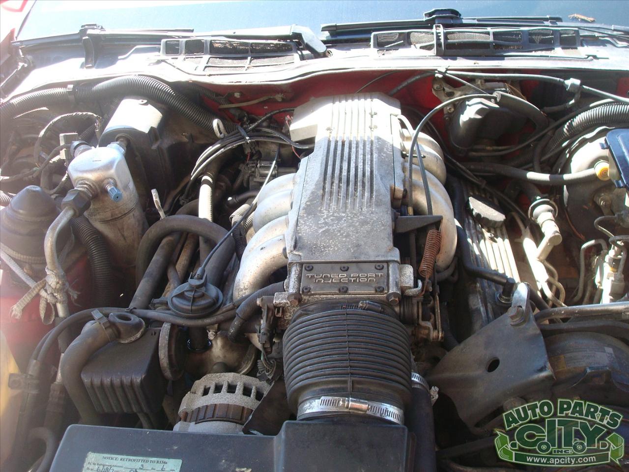 Pontiac Firebird Trans Am 1987