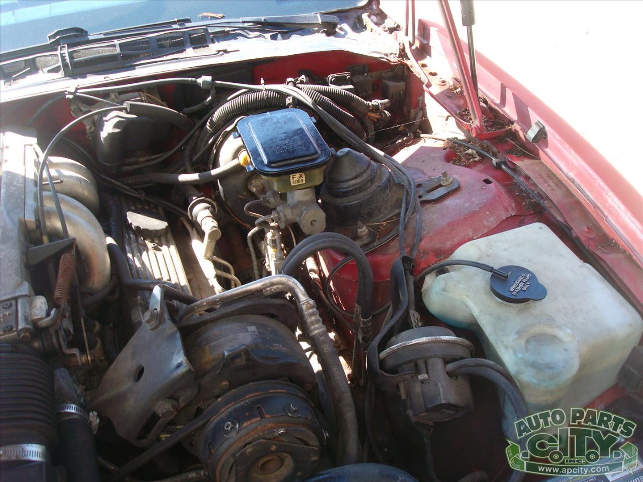 Pontiac Firebird Trans Am 1987